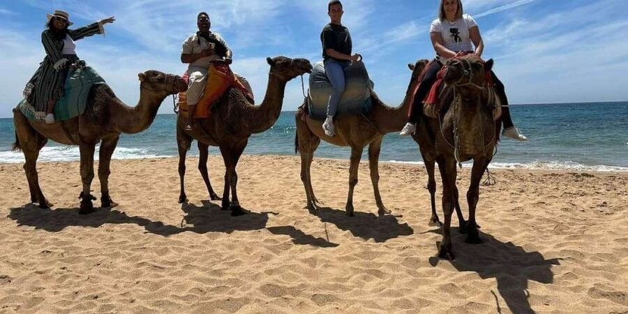 Tangier: Sunset tour with tea, camel ride & Cap Spartel - Languages and guide support: How this tour keeps things easy