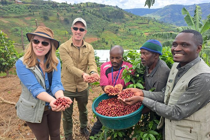 Tea and coffee tours - Key things I’d plan around before you go