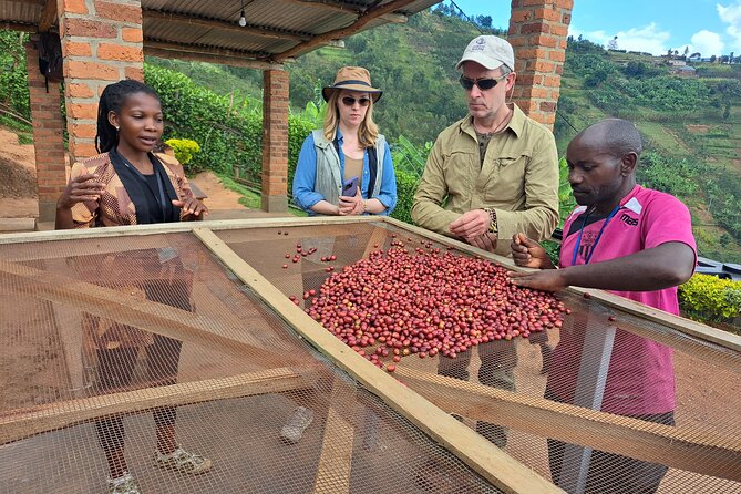 Tea and coffee tours - Coffee walkthrough: what questions to ask on-site