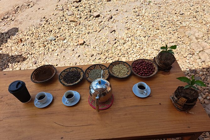 Tea and coffee tours - Tea tour version: harvesting to packaging, explained clearly