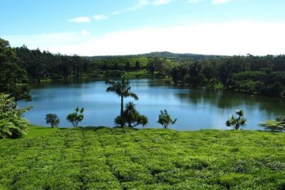 Tea and Culture Route - Grand Bassin and the Giant Shiva Statue in Mauritius’s South