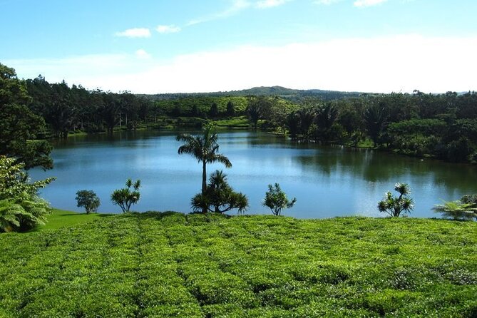 Tea and Culture Route - Grand Bassin and the Giant Shiva Statue in Mauritius’s South