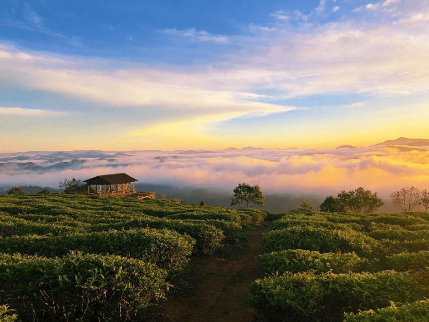 Tea & Coffee Tour - Price and logistics for up to 2 people