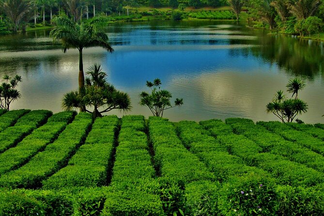 Tea Experience in the Exotic South of Mauritius Private tour. - Driving the South from Grand Baie: private comfort and a clear game plan