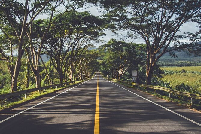 Tea Experience in the Exotic South of Mauritius Private tour. - Trou aux Cerfs: a dormant volcano stop that snaps your “Mauritius” into focus