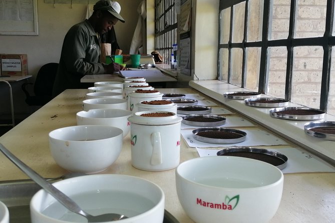 Tea Farm Experience at Riara Tea Farm And Factory Tour - Factory Visit: Watching Tea Processing and Quality Checks