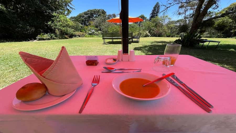 Tea Farm Tour From Nairobi (Kiambethu). - Indigenous Forest Walk with Medicinal Plants and Colobus Monkeys
