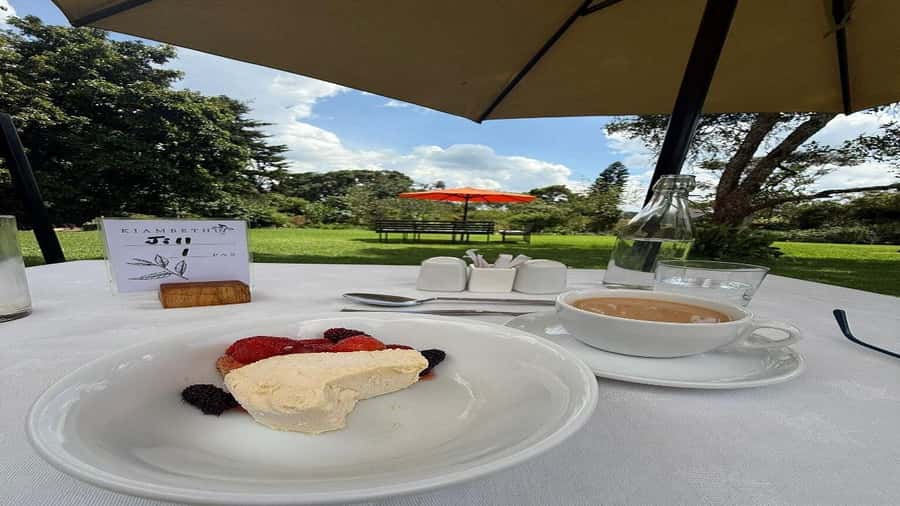 Tea Farm Tour From Nairobi (Kiambethu). - Should You Book Kiambethu Tea Farm From Nairobi?