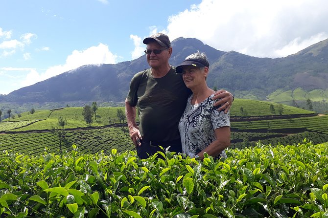 Tea Farm Tourism - Entering Tea Country: Munnar’s High-Elevation Tea World