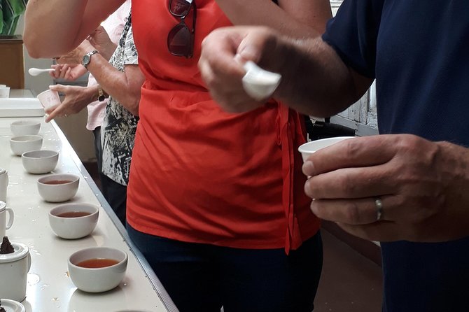 Tea Farm Tourism - Price and Value: Is $24 for 3 Hours Fair?