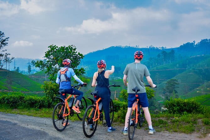 Tea Loops E-Biking - Electric tea loops: what 25 km feels like on an e-bike