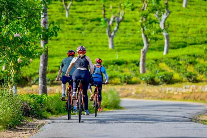 Tea Loops E-Biking - Who the guides are and how that affects your experience