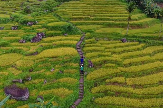 Tea Loops E-Biking - Price and value: what $45 buys you here