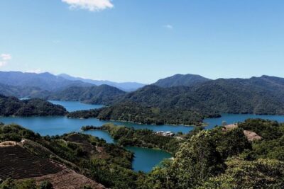 Tea of Taipei: Small-Group Tour with Taipei City Sightseeing - Tea Museum and ceremonies for Tieguanyin and Baozhong