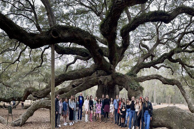 Tea Plantation and Winery Tour in Charleston - Key Points You’ll Care About