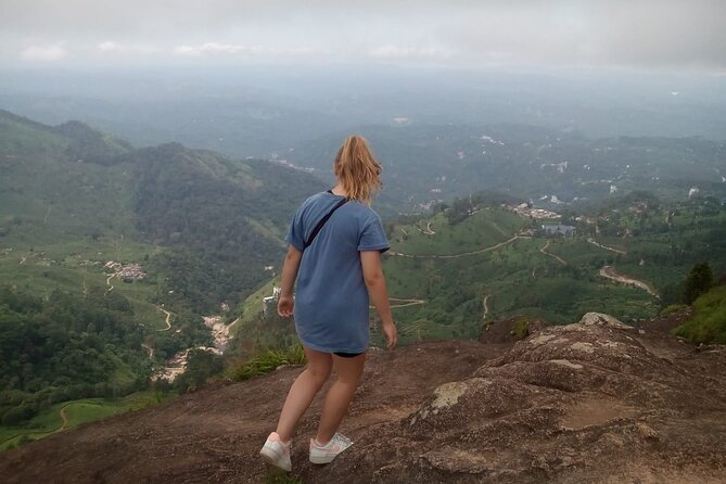 Tea Plantation, Grass Land and Mountain Hiking in Munnar - Tea plantations: the first hour and the Kannan and Devan story