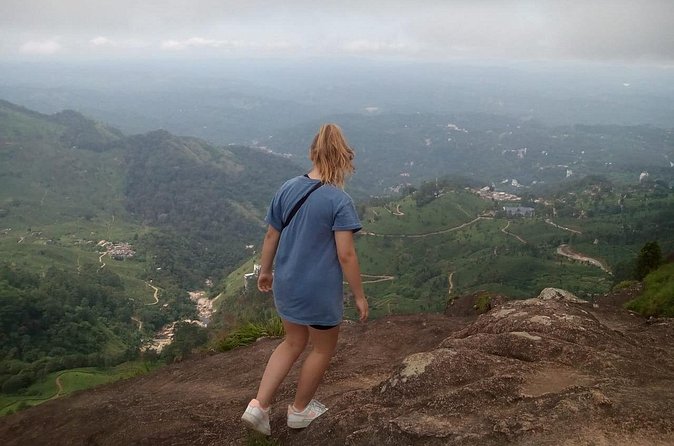 Tea Plantation, Grass Land and Mountain Hiking in Munnar - Shola forest: flycatchers in orange and black