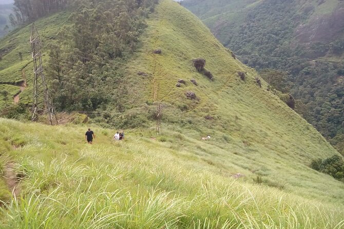 Tea Plantation, Grass Land and Mountain Hiking in Munnar - KSRTC Depot meet-up and how the timing works