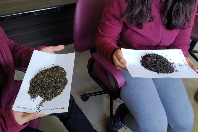 Tea Pluckers' Day - The Tea Day Flow: Breakfast, Estate Walks, and Tea Tasting