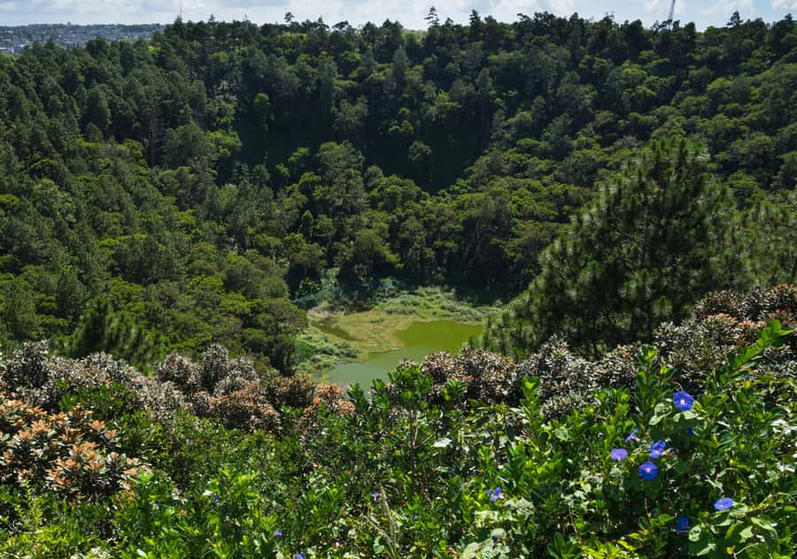 Tea Route: Lake, Forest, Tea Plantation & 3 Course Lunch - Price and logistics: Is $58 worth it for an 8-hour day?