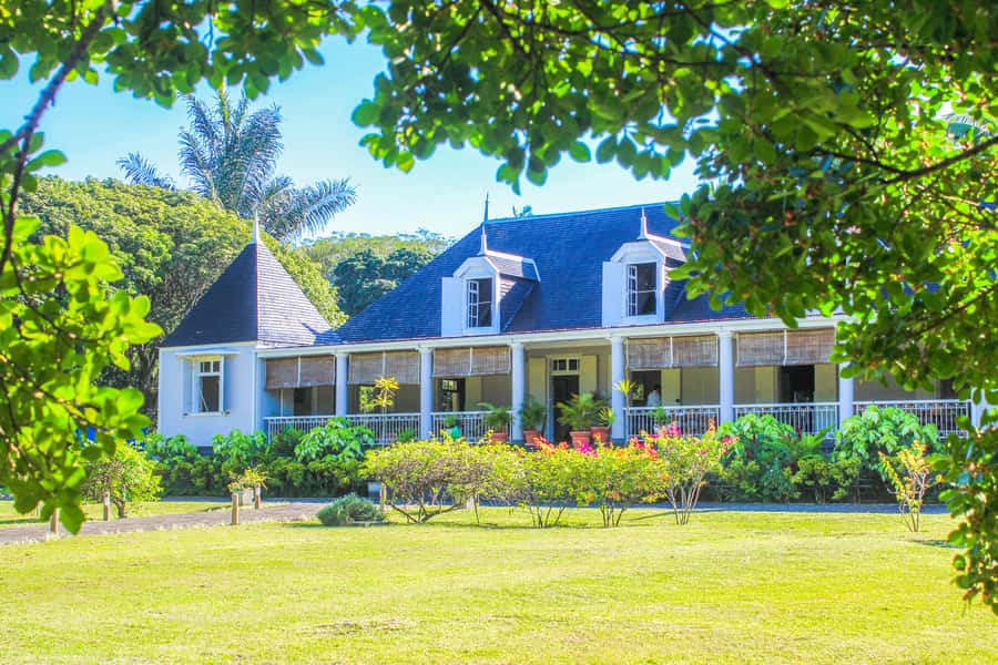 Tea, Rum & Vanilla Route - Domaine de Saint Aubin: rum, sugarcane, vanilla greenhouses, and spice gardens