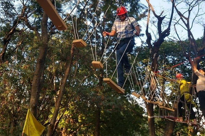 Tea Top Adventure Activities - Key points I’d know before you go