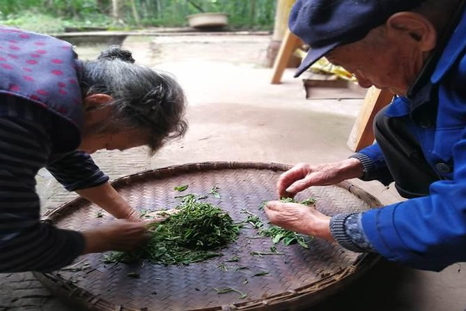 Tea Village in lost Town and Buddha 1 day tour - Tea tasting and lunch: where the value shows up