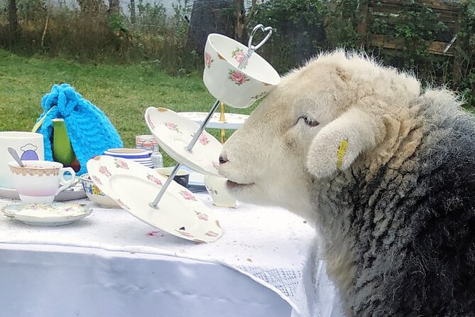 Tea with Naughty Sheep - Afternoon tea: crumpets, vegetarian savouries, and home-baked cakes