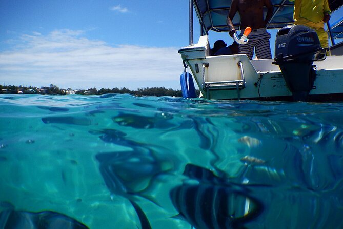 The East Discovery Tour: Bois-Cheri Tea Factory, Blue-Bay Marine Park & Lunch - Mahebourg Lunch and National History Museum: Where the Island Story Folds Into Place
