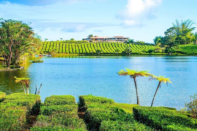 The East Discovery Tour: Bois-Cheri Tea Factory, Blue-Bay Marine Park & Lunch - Frederick Hendrick Museum at Old Grand Port: Dutch Ruins, Tropical Garden, Archaeology Touches