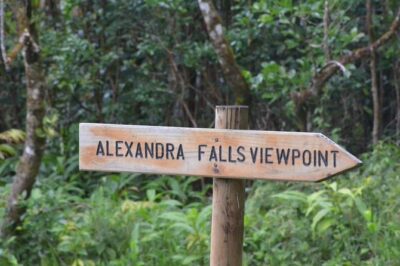 The Gorgeous South of Mauritius: Full-day tour incl Tea Factory & Crocodile park - Trou aux Cerfs: A dormant crater walk with forest around it