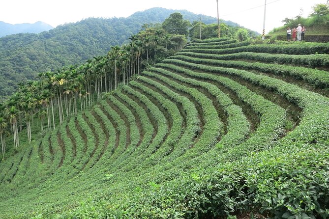 Thousand Island Lake and Pinglin Tea Plantation from Taipei - Key things I’d circle on your map
