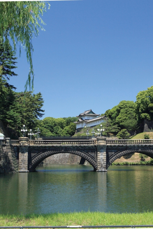 Tokyo: Full-Day Tour w/Tea Experience,Buffet Lunch & Cruise - Odaiba: Futuristic Waterfront Energy Plus a Real Hilton Lunch