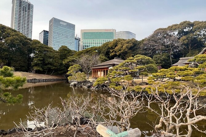 Tokyo: Hama-rikyu Gardens tour with Japanese Tea & Sweets - Key points