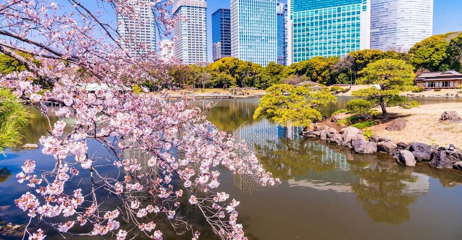 Tokyo: Hama-rikyu Gardens tour with Japanese Tea & Sweets - Who This Tour Fits Best (and Who Might Skip It)