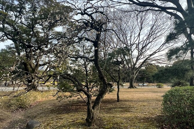 Tokyo: Hama-rikyu Gardens tour with Japanese Tea & Sweets - How the Guide Turns Edo-Period Design into Real Understanding