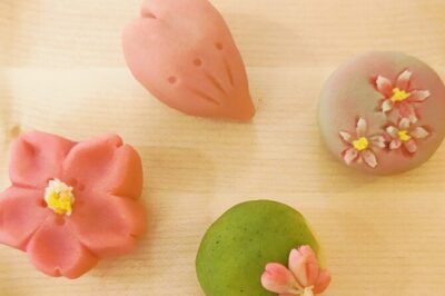 Tokyo: Tea Ceremony & Japanese Sweets Making - Where the workshop meets you in Hakusan (and how to plan)