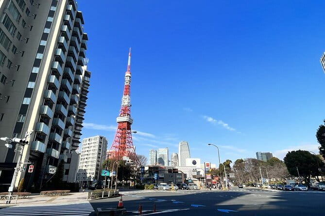 Tokyo Walking Tour : Sumo, Sushi, Tea, Temples and Tokyo Tower - Key points to know before you go