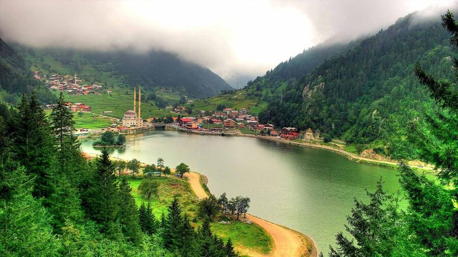 Trabzon: Uzungöl Group Tour, Explore The Nature & Taste Tea - Quick travel tips that will actually help