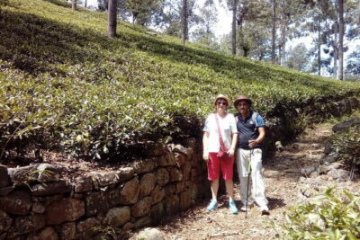 Trekking & Picnic in The Tea Plantation From Ella, Haputale & Bandarawela - Walking the tea estates: your 4–5 hour trekking rhythm