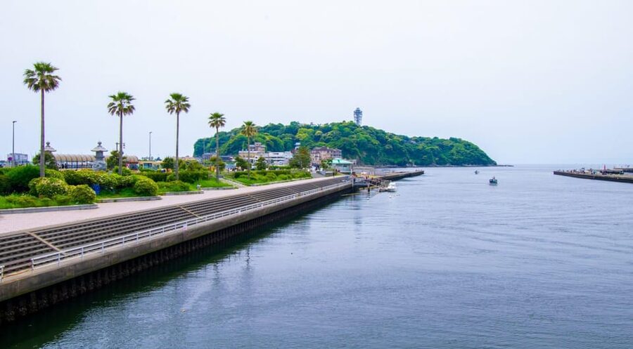Trip to Kamakura & Enoshima: Shrines, Seaside, Temples &Tea - Enoshima coastline walk and the observatory views