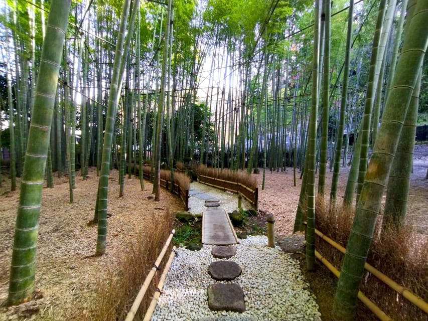 Trip to Kamakura & Enoshima: Shrines, Seaside, Temples &Tea - How to handle the walking load without ruining the day