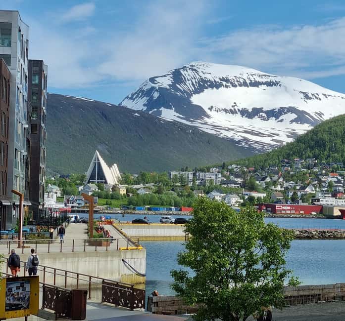 Tromsø Sweet Temptations Tour: Afternoon Tea & Other Sweets - Should You Book Tromsø Sweet Temptations?