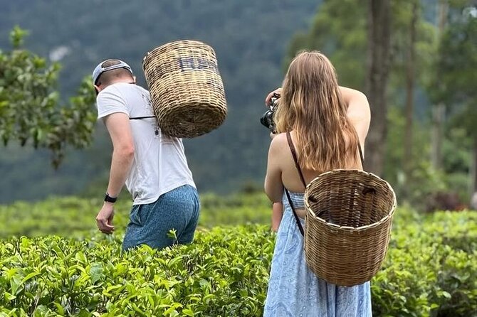 Tuk Tuk Nuwara Eliya Tea Falls Adventure - Key things I’d watch for on this Tuk Tuk adventure