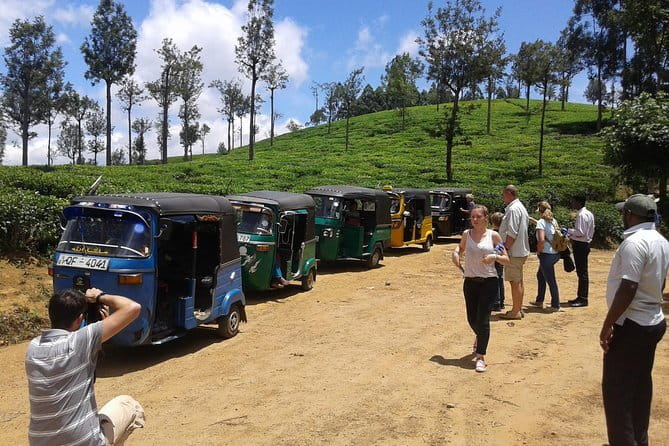 Tuk Tuk safari and Picnic in The Tea Plantation from Ella,Haputale & Bandarawela - Tuk Tuk Safari to Lipton’s Seat: Tea Country by Three Wheels