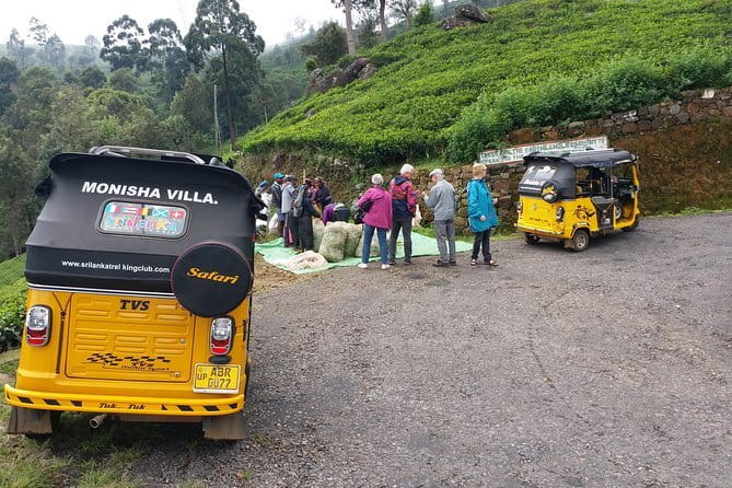 Tuk Tuk safari and Picnic in The Tea Plantation from Ella,Haputale & Bandarawela - A Real Tea Factory Visit: From Field to Cup