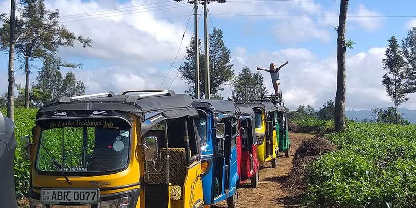 Tuk-Tuk Safari Liptons seat,Tea Fields Hike,TeaFactory Tour - Practical Tips Before You Go
