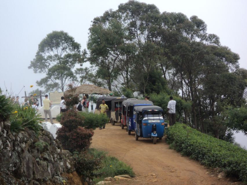 Tuk-Tuk Safari Liptons seat,Tea Fields Hike,TeaFactory Tour - Who Should Book This Tuk-Tuk Safari and Tea Day?