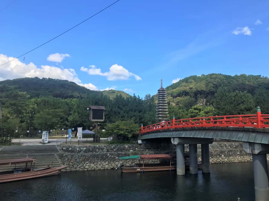 Uji: Green Tea Tour with Byodoin and Koshoji Temple Visits - Byodo-in: Phoenix Hall, museum focus, and the kind of peace you came for