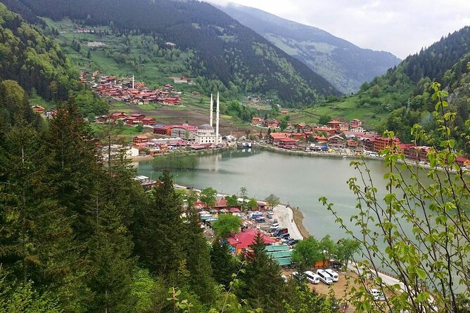 Uzungol Tour: Full-Day Nature Adventure with Tea Factory Visit - Guides and drivers: what to look for on your departure day
